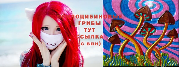 винт Струнино