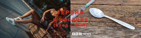 прущие грибы Сосновоборск