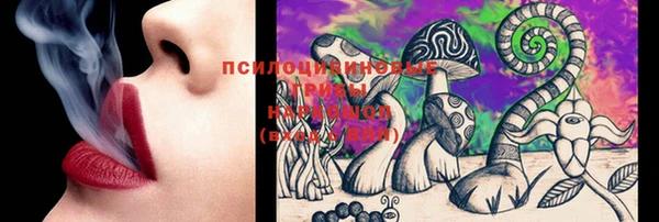 прущие грибы Сосновоборск