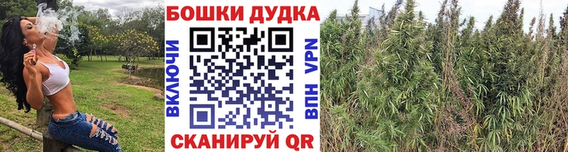 Купить где  Москва  Бошки Шишки семена 